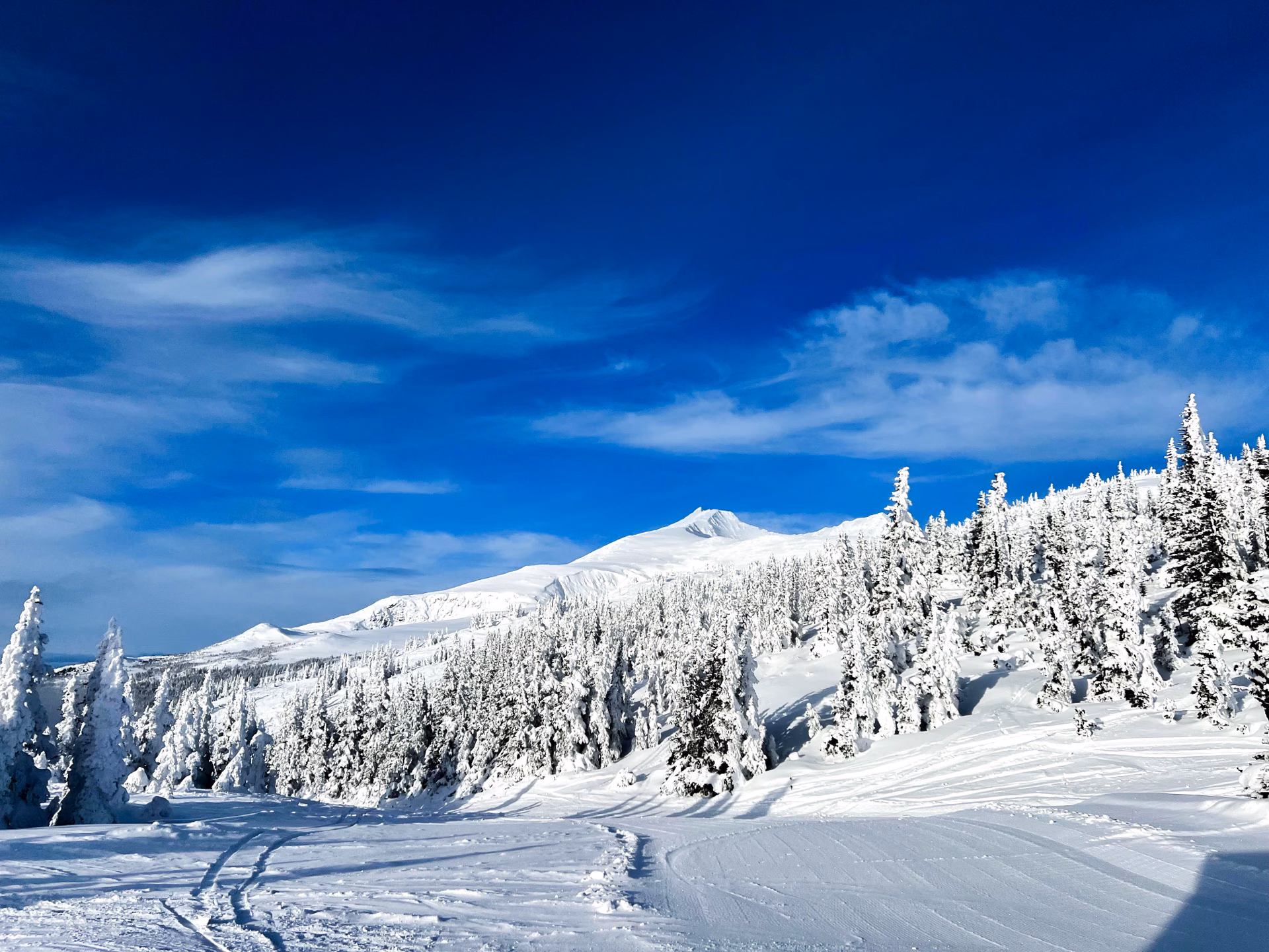 Snow-covered alpine forest and peak on Hudson Bay Mountain