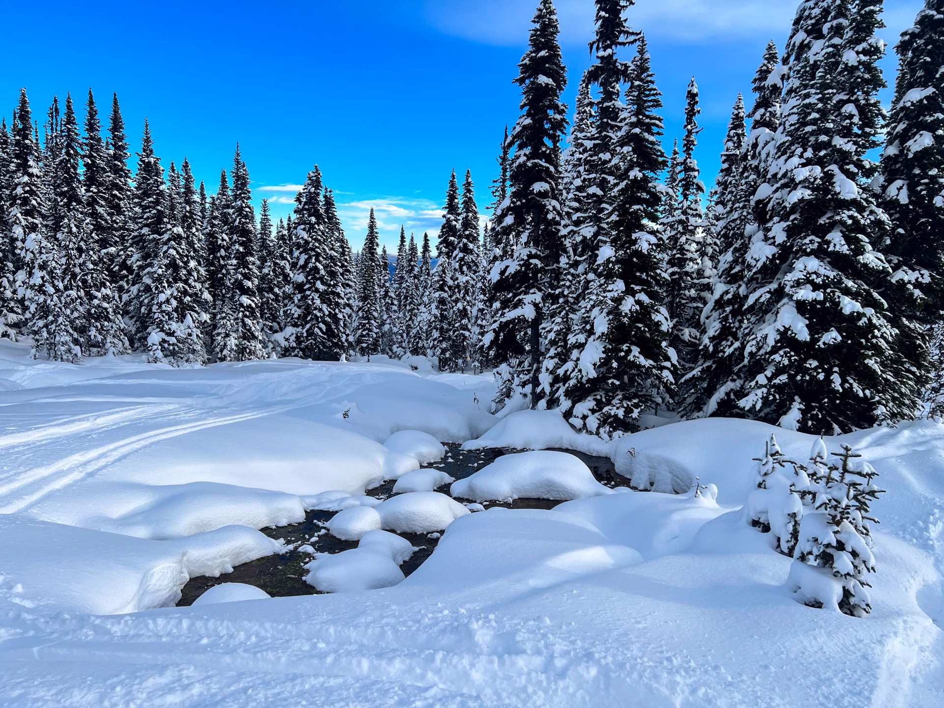 Snowy creek winding through alpine forest, Smithers BC